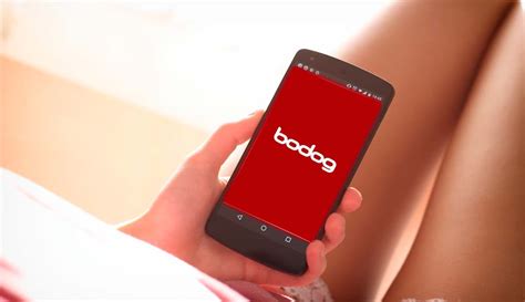 Bodog Mobile Website and Apps for iOS & Android (2024).